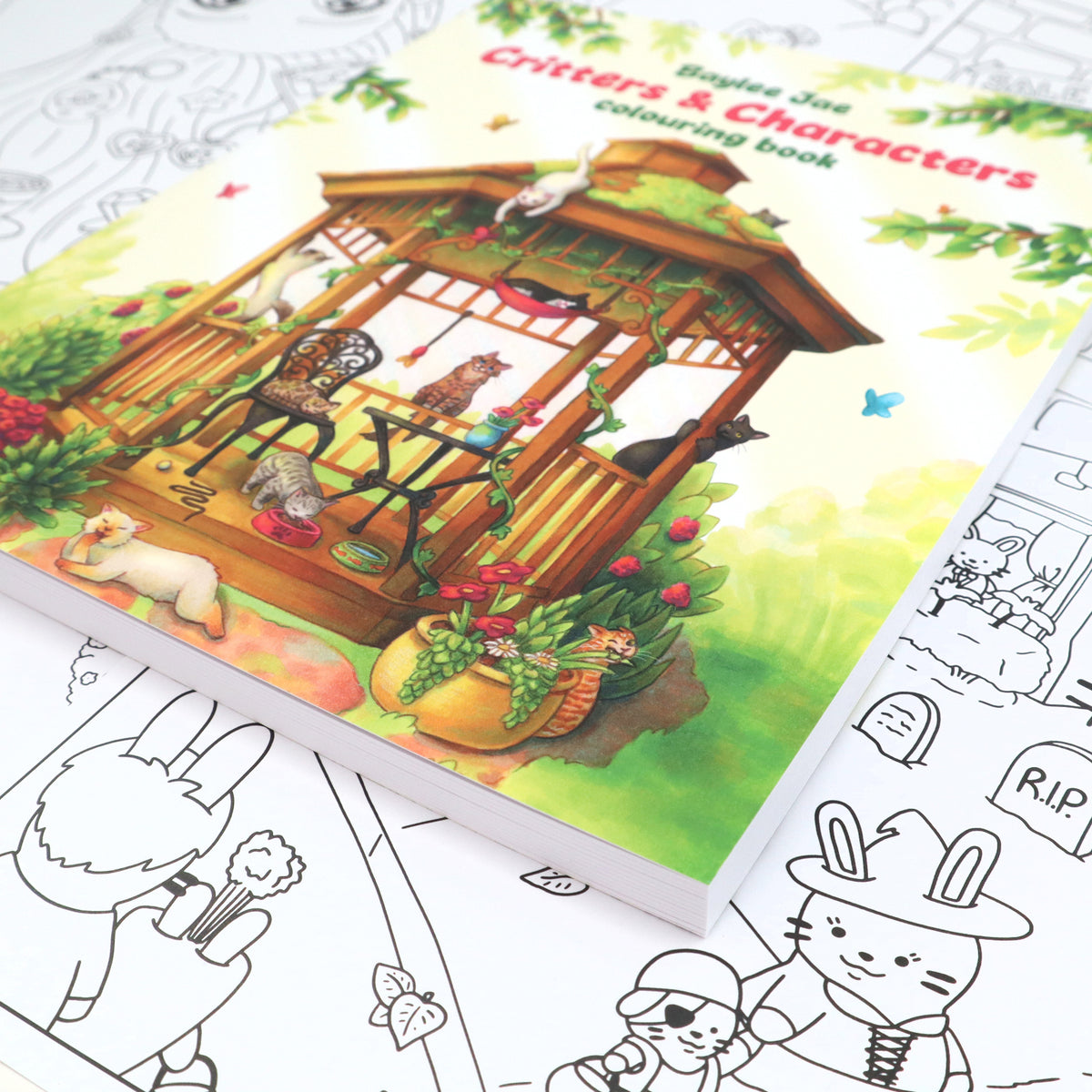 "Critters & Characters" Colouring Book