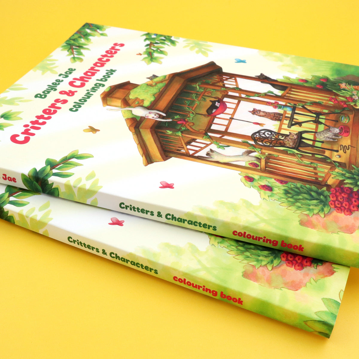 "Critters & Characters" Colouring Book