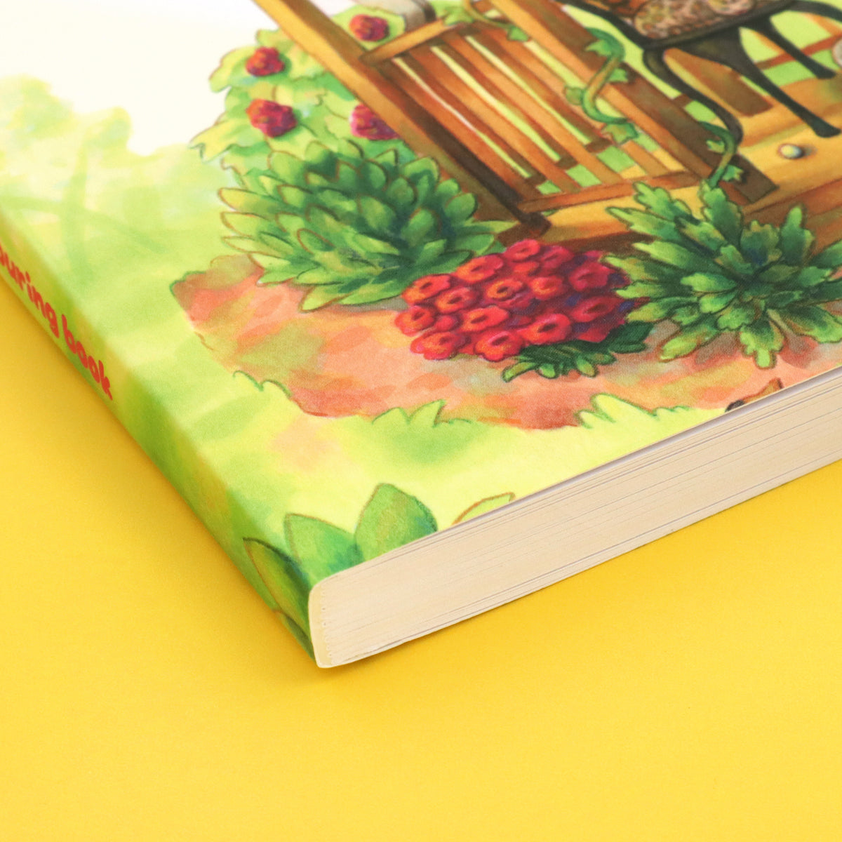 "Critters & Characters" Colouring Book