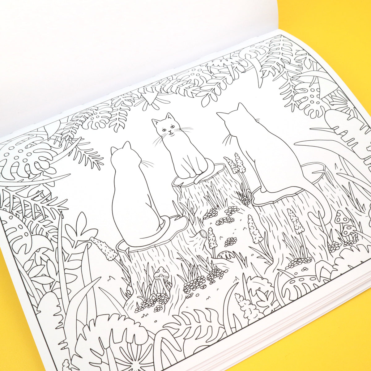 "Critters & Characters" Colouring Book